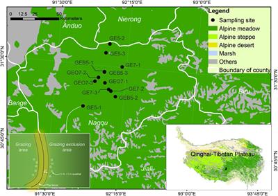 Grazing Exclusion Changed the Complexity and <mark class="highlighted">Keystone Species</mark> of Alpine Meadows on the Qinghai-Tibetan Plateau